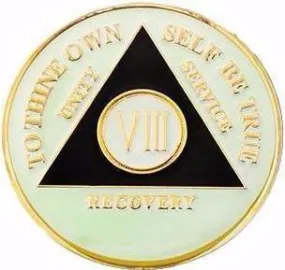 AA Medallion Glow in the Dark Coin